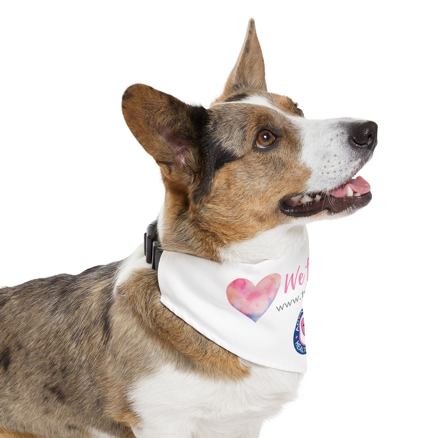 Pet Bandana Collar- size XL